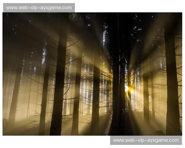 安德雷vs范霍文:光影间的史诗对决,重塑科幻想象